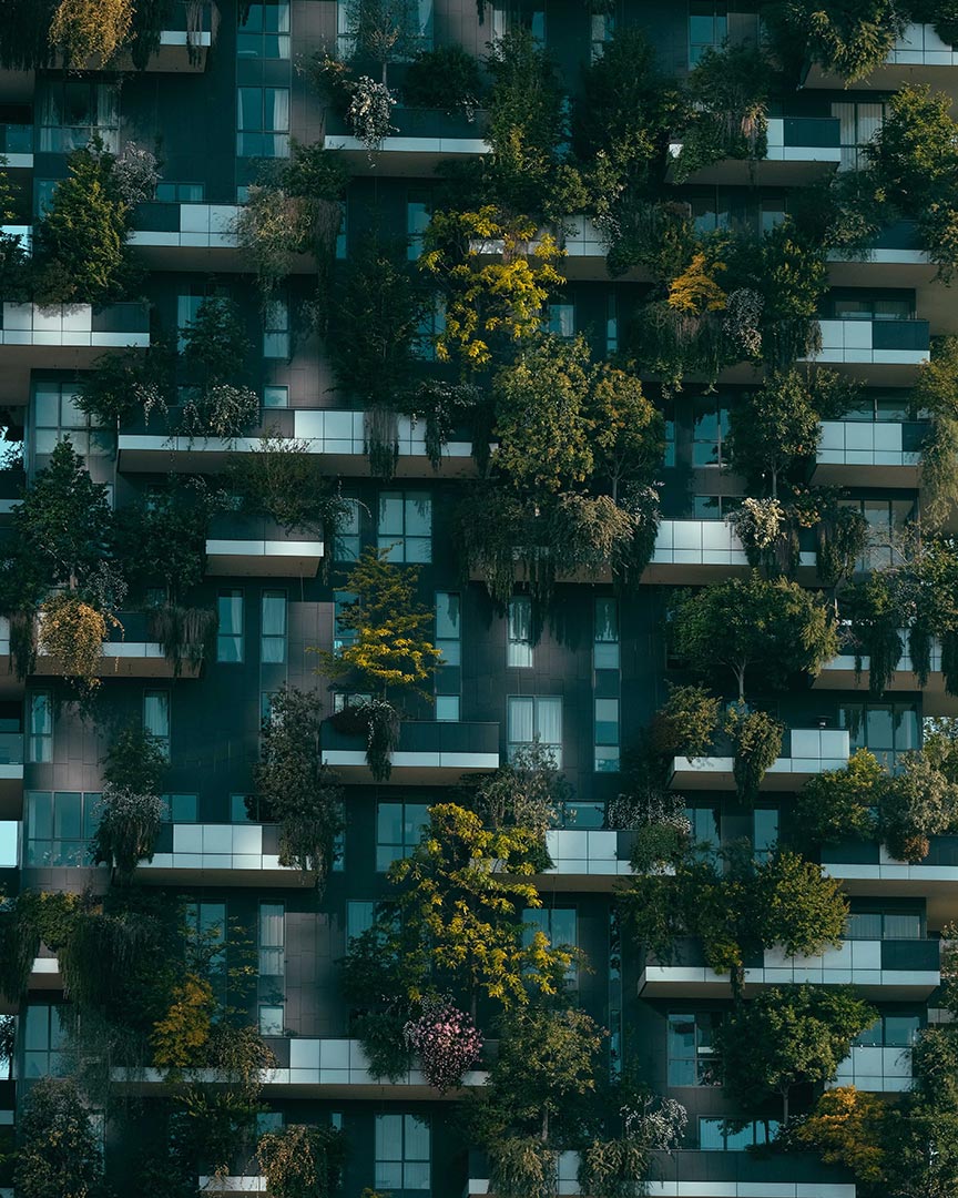 Green trees on the side