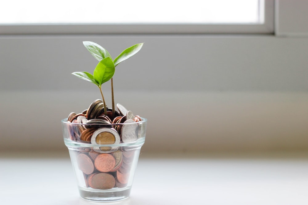 How to Save Money on Everyday Expenses in 2023
